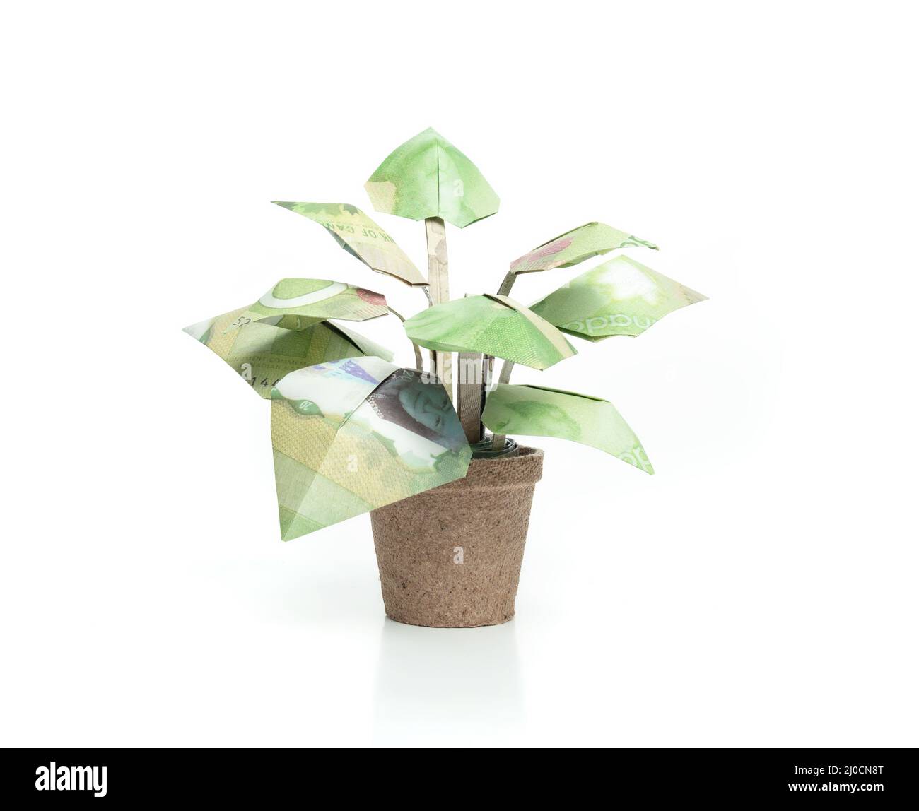Paper money house plant made out of fake Canadian paper bills. Origami folded paper plant. Financial concept for saving money, growing money or grow m Stock Photo