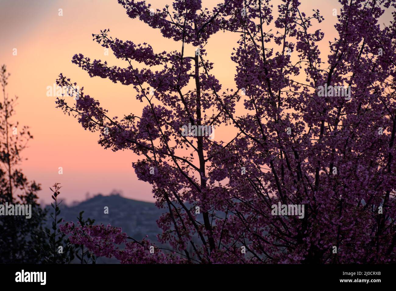 Spring in Bath Stock Photo - Alamy