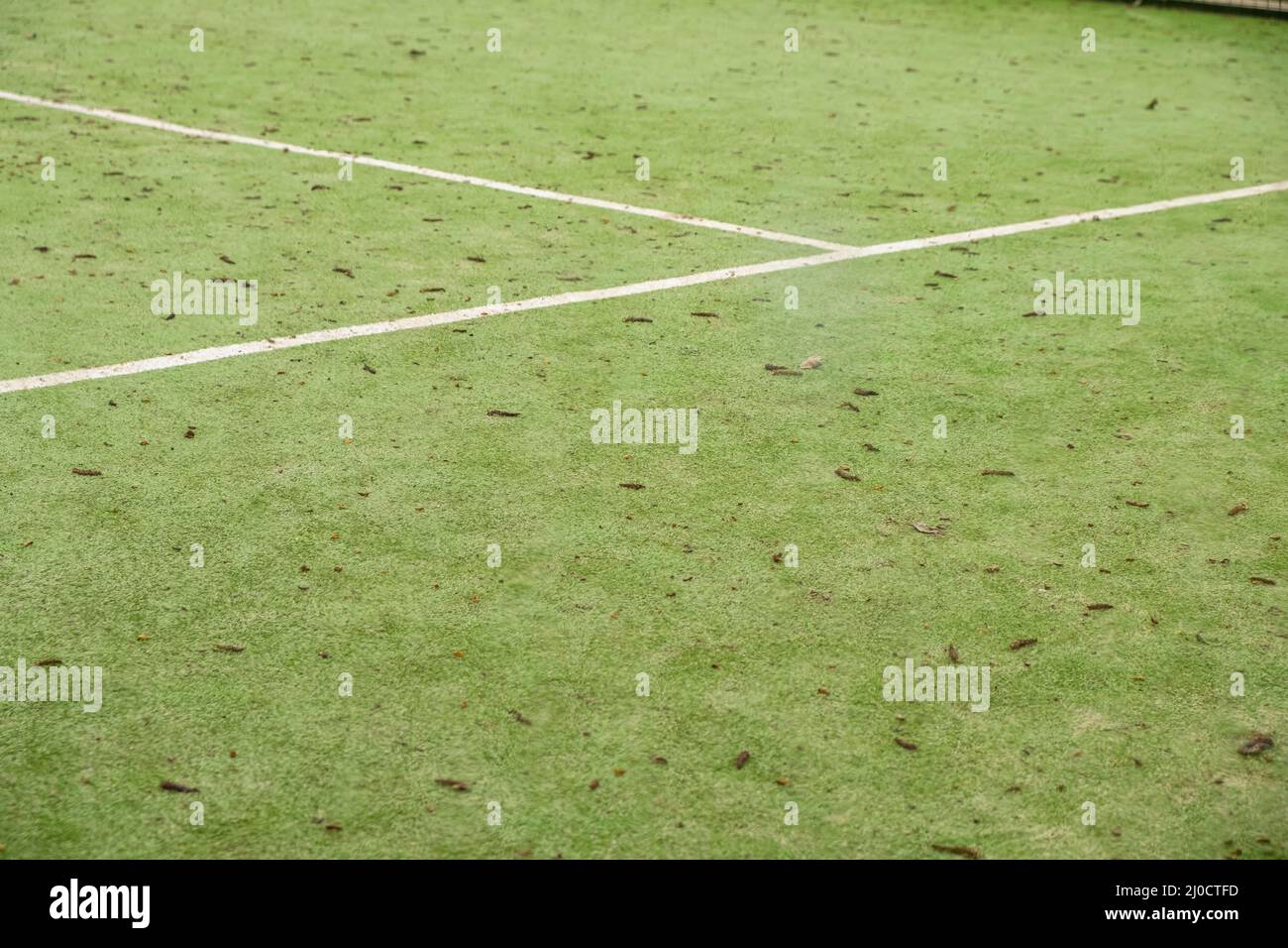 lines of a green paddle tennis court Stock Photo Alamy