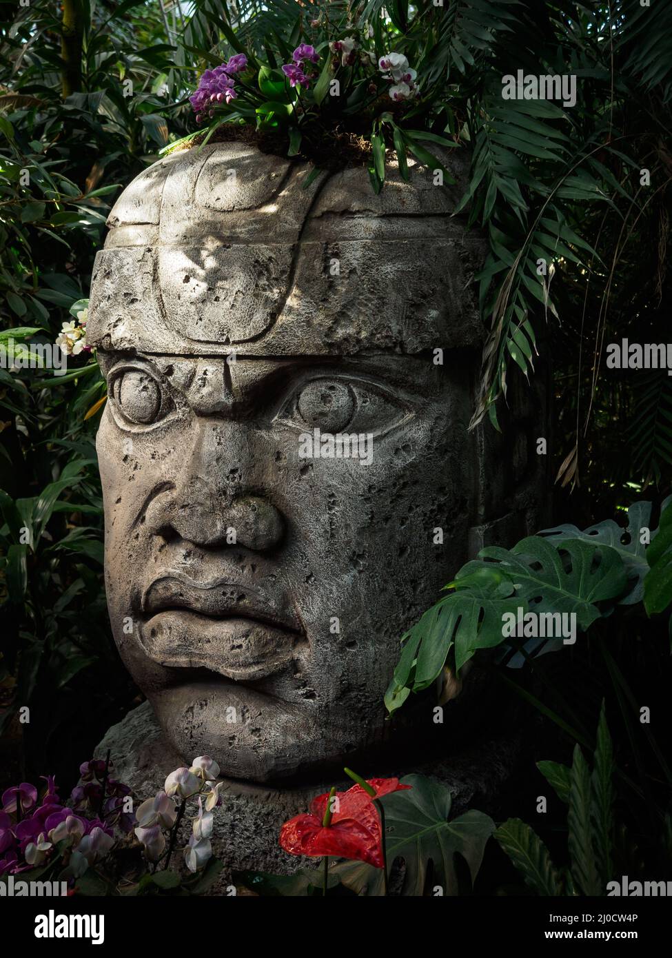 Olmec sculpture carved from stone. Mayan symbol Big stone head statue