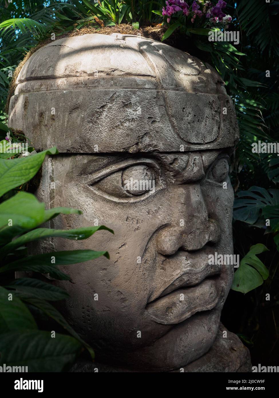 Olmec sculpture carved from stone. Mayan symbol Big stone head statue