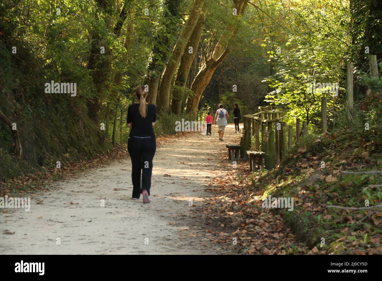 Rear view of people walking on a path in an autumn park Stock Photo - Alamy