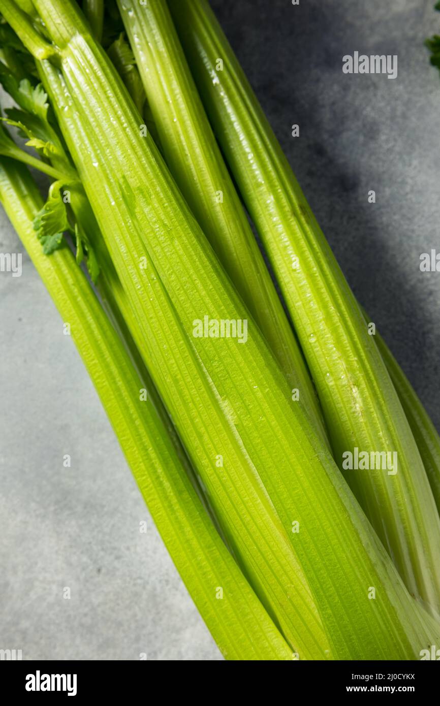 Raw Green Organic Celery Stalks in a Bunch Stock Photo Alamy