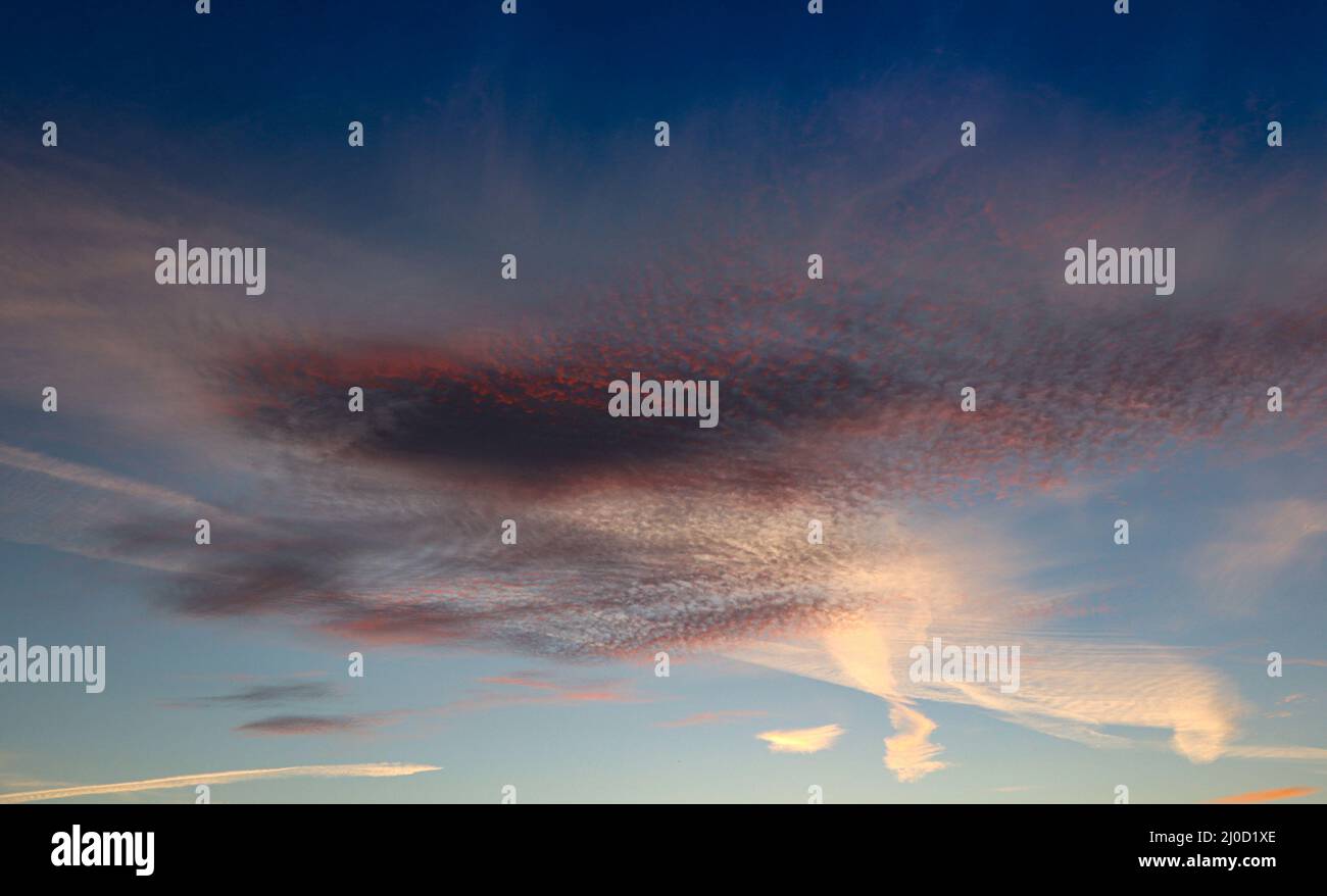 Mackerel clouds against a blue sky in the evening Stock Photo