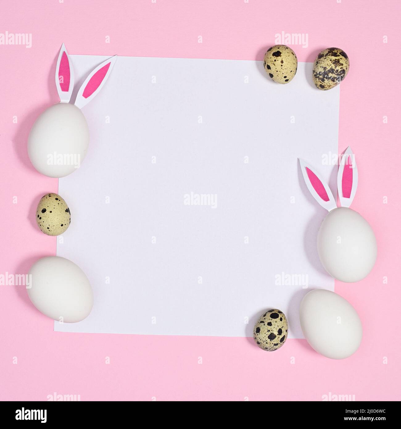White paper card copy space with white and quail eggs on paper on pastel pink background. Flat lay Stock Photo