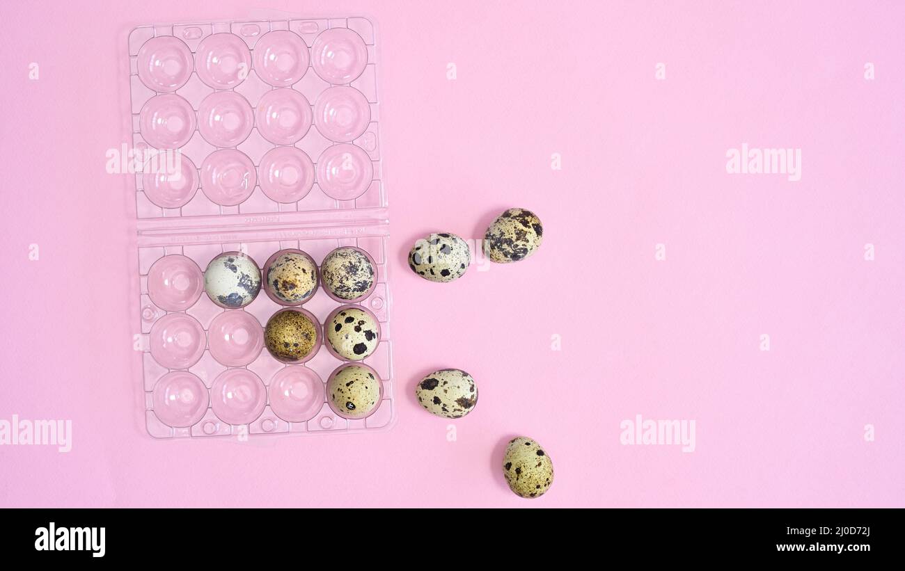 Plastic box and quail natural eggs on pastel pink background. Flat lay Easter concept Stock Photo