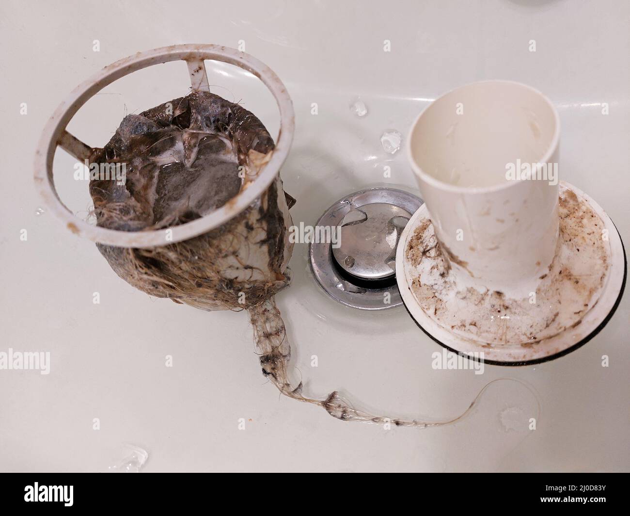 dirty shower drain with hair Stock Photo Alamy