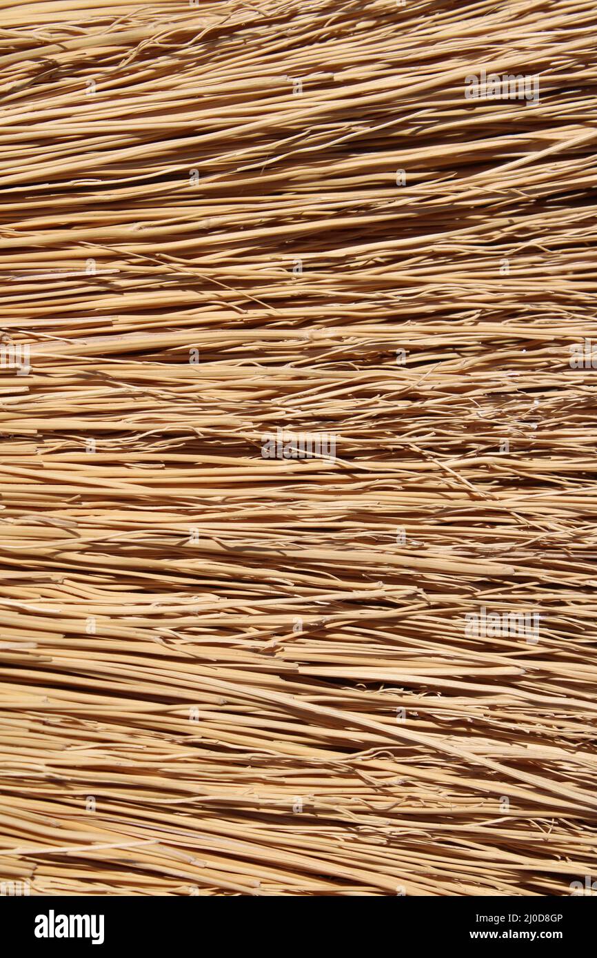 A Detail on Straw Broom Bristles Stock Photo