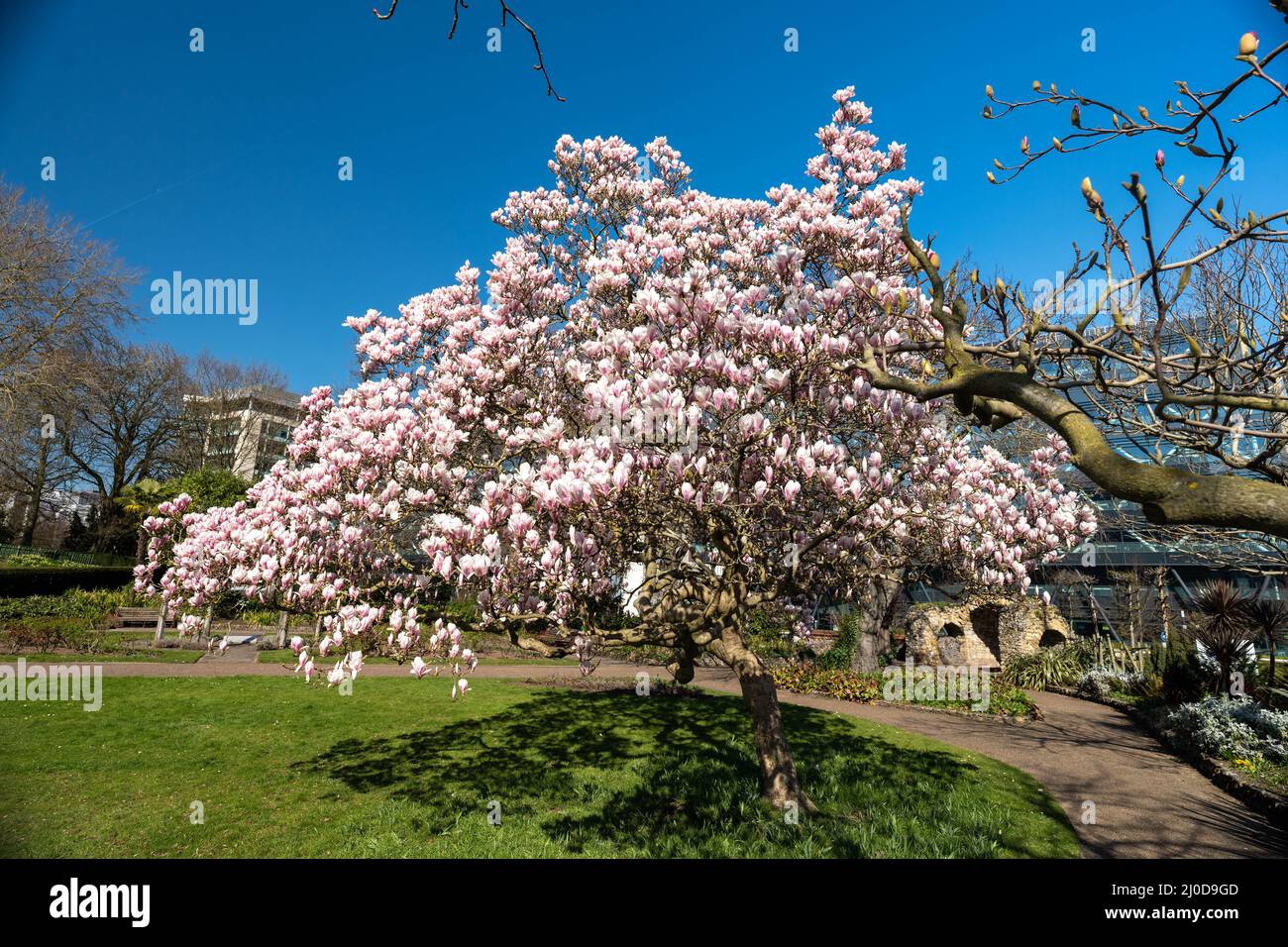 Forbury Gardens in Springtime Bloom Stock Photo
