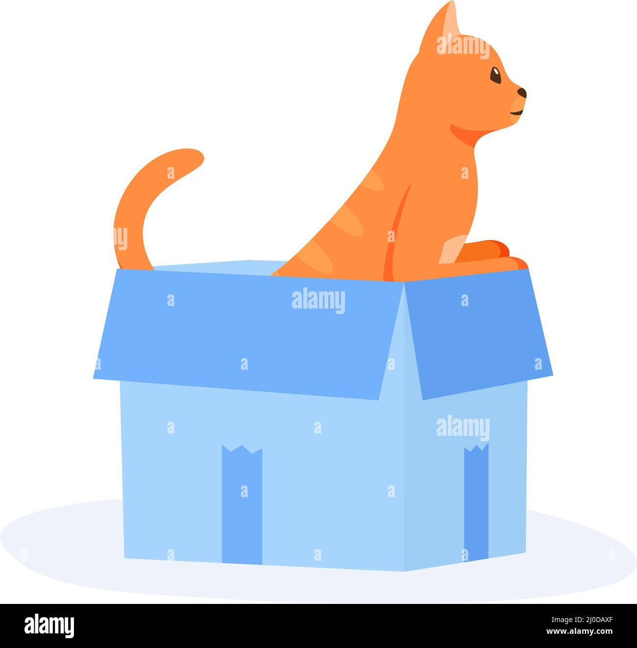 Ginger cat sits in box. Cute indoor pet plays in paper case. Hiding and