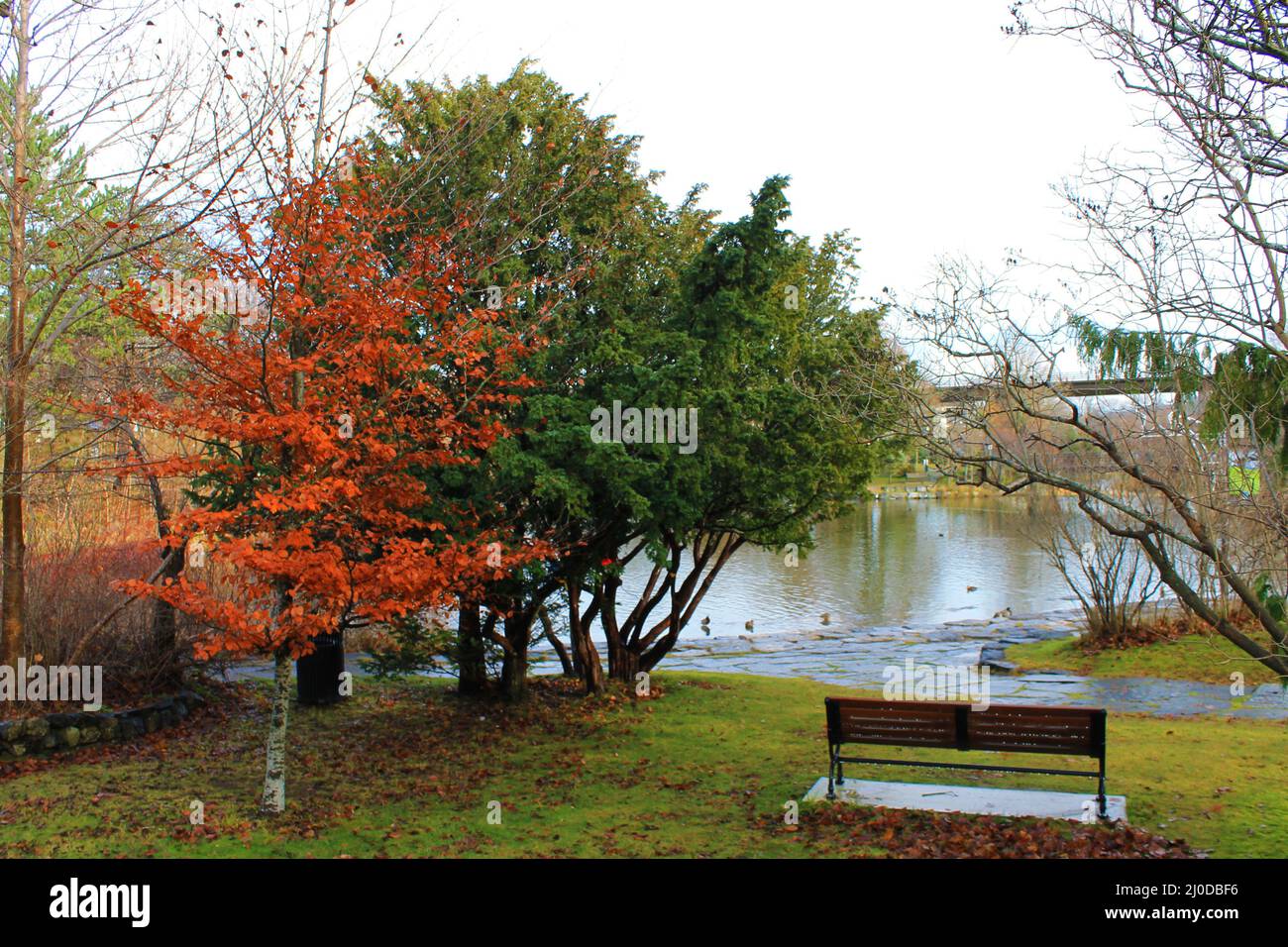 A park bench by the side of a pond, Bowring Park, St. John's, NL, Autumn. Stock Photo