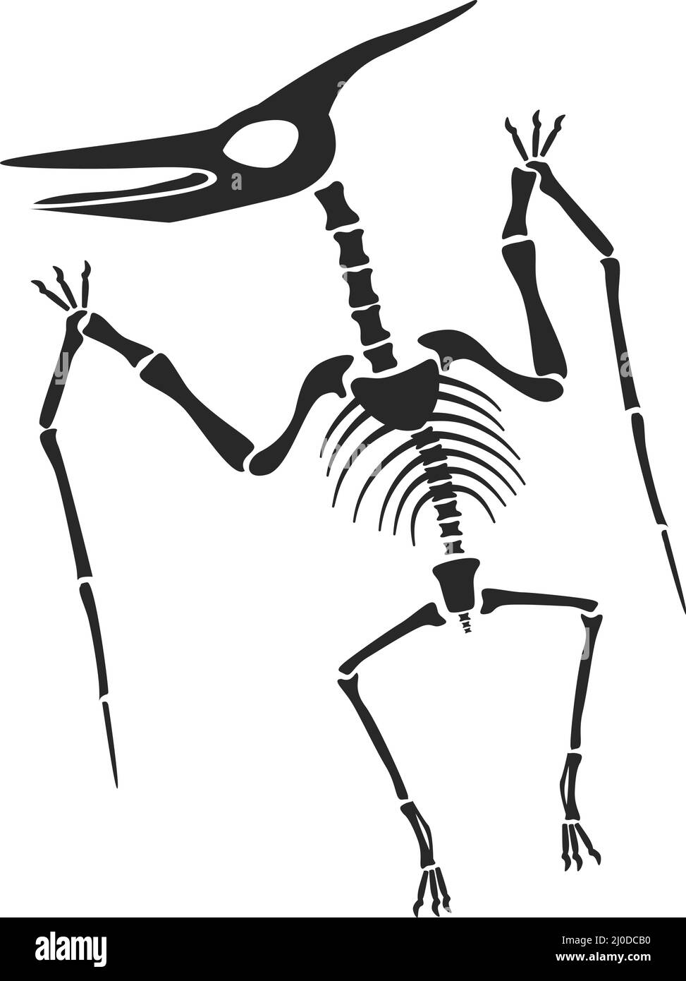 Dinosaurs skeleton silhouette, diplodocus, velociraptor, pterodactyl bones. Prehistoric dinosaur fossils, ancient animal skeletons vector set. Creatures for museum exhibition isolated on white Stock Vector