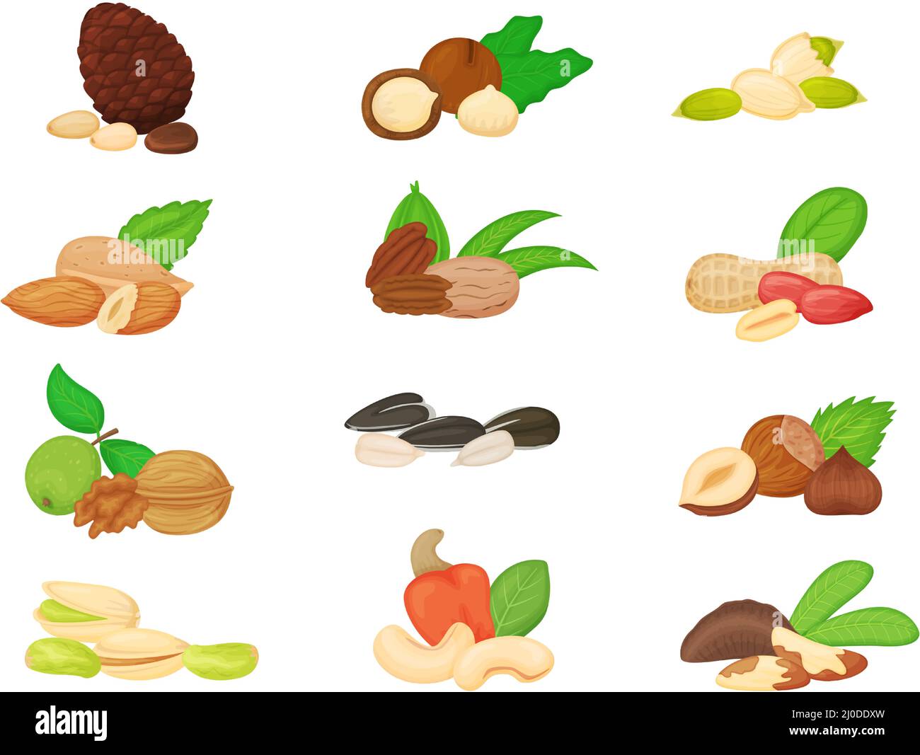 Cartoon nuts and seeds, walnut, almond, sunflower and pumpkin seed