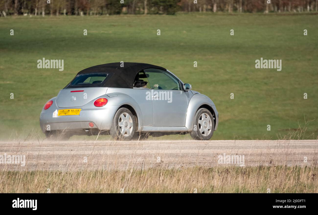 silver soft top VW beetle convertible convertible car with a black dog