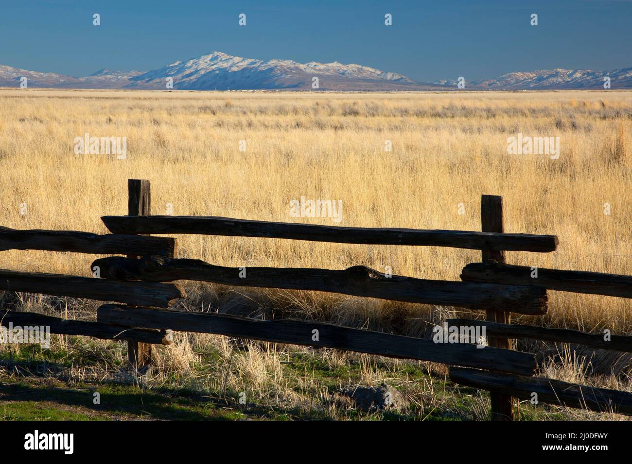 Honey lake wildlife area hi-res stock photography and images - Alamy