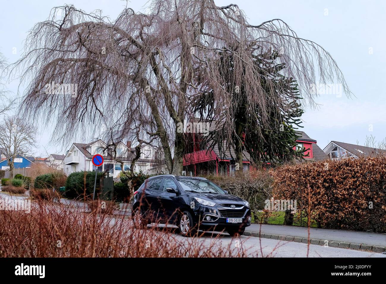 Stavanger, Norway. 13th Mar, 2022. A view of a residential zone in Stavanger. (Photo by Mateusz Slodkowski/SOPA Images/Sipa USA) Credit: Sipa USA/Alamy Live News Stock Photo