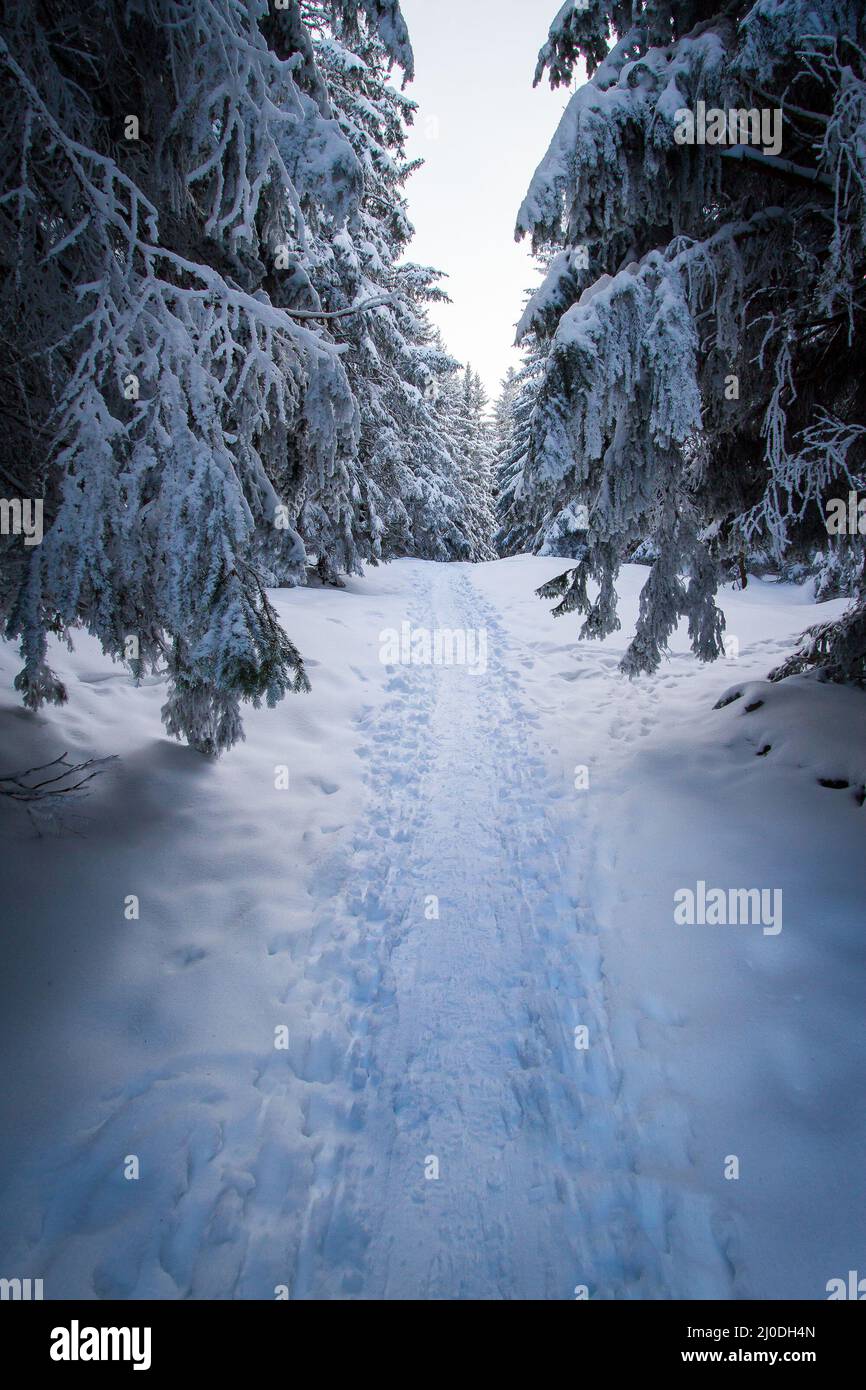 Path through idyllic winter landscapes at the Schoeckl mountain in Austria near Graz Stock Photo