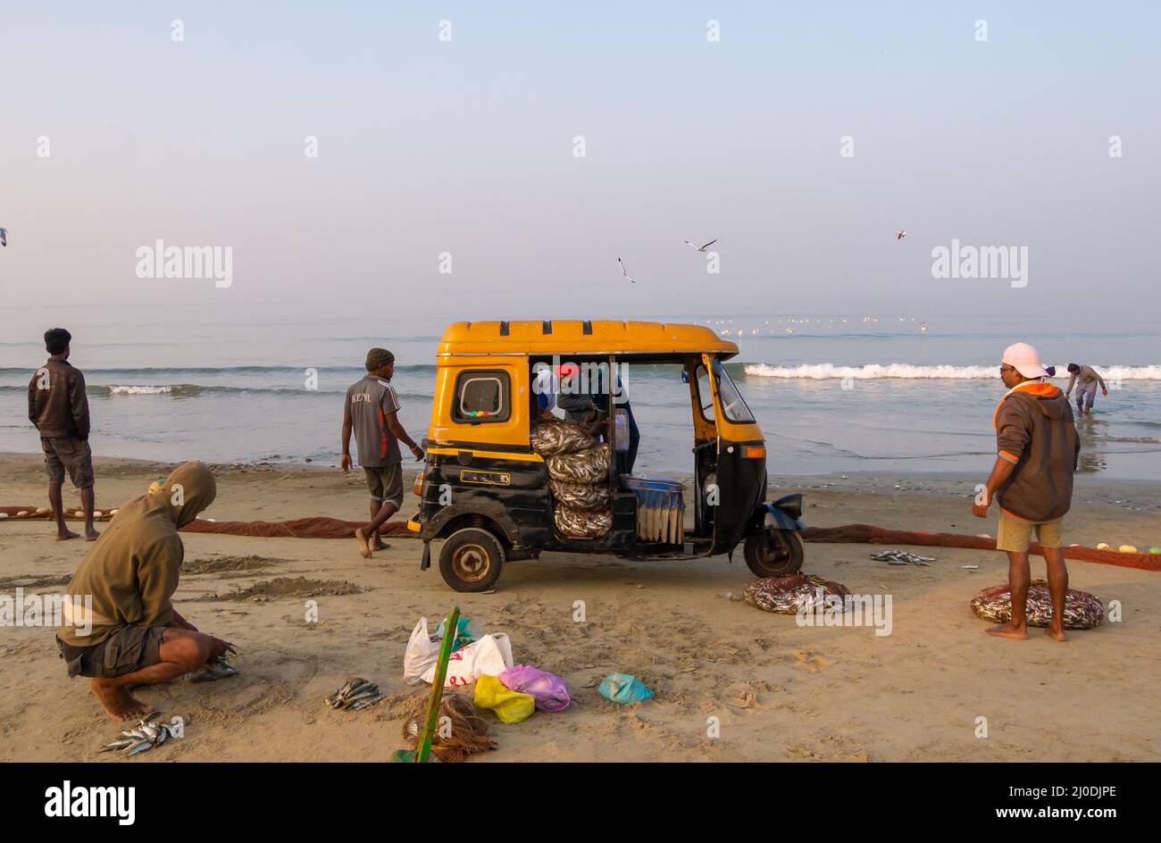 India rickshaw pull hi-res stock photography and images - Alamy