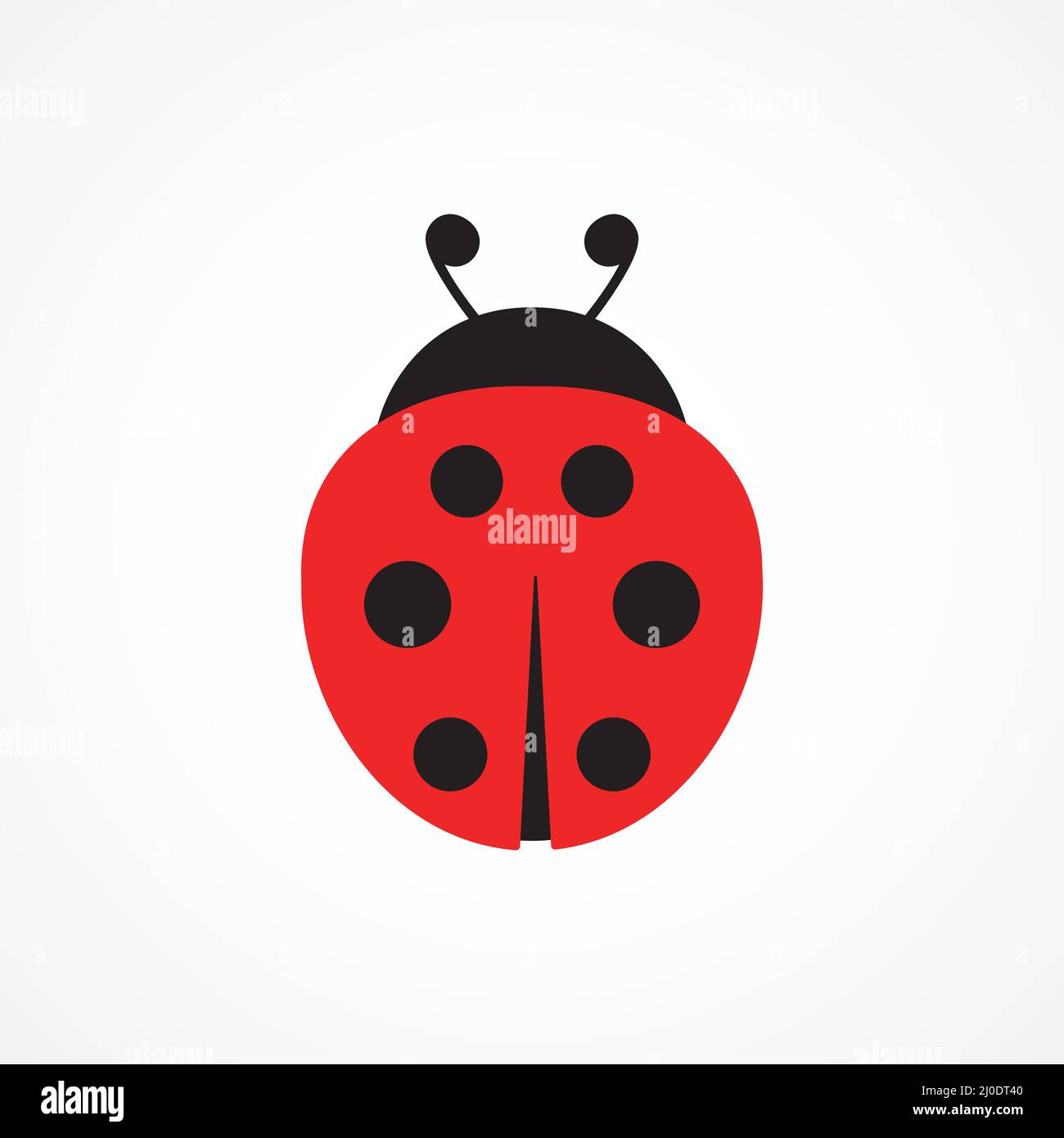 Ladybug cute character. Ladybird insect. Vector isolated on white Stock Vector