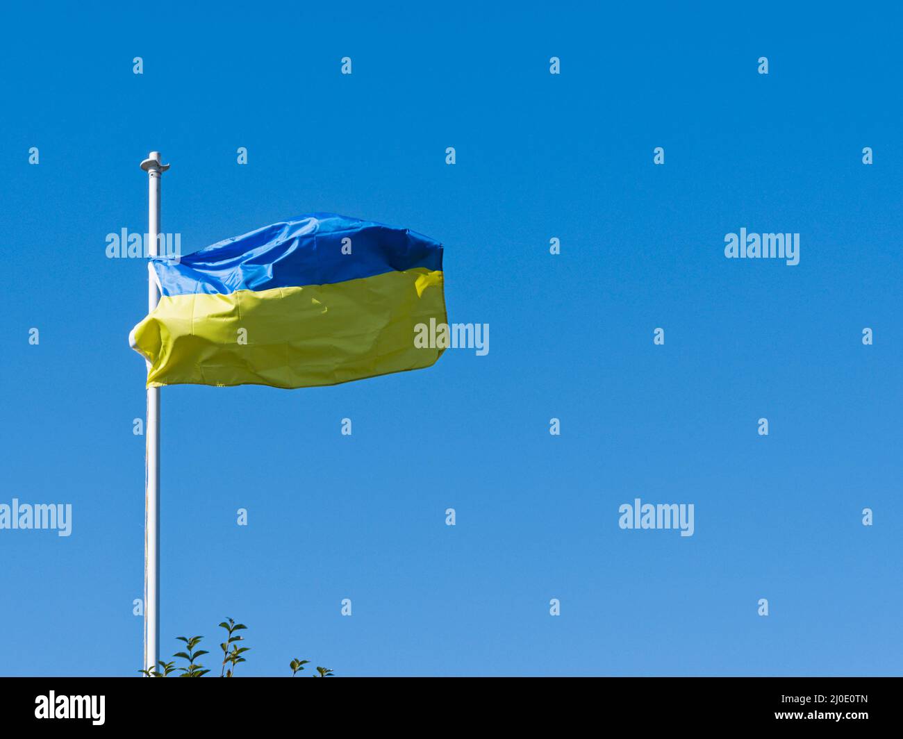A blue and yellow flag of Ukraine flies against a blue sky with copy ...