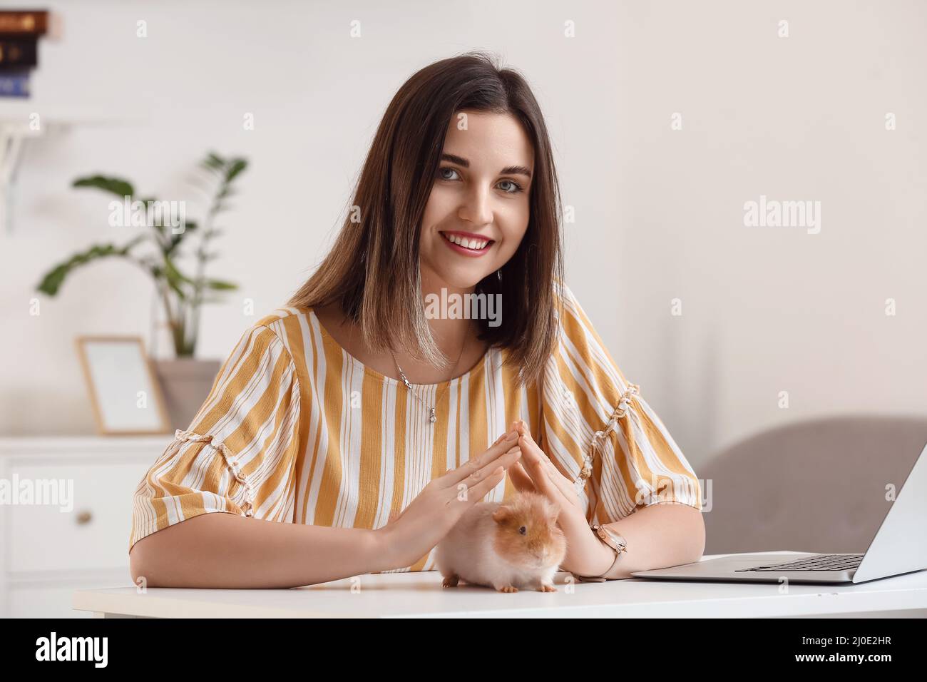 Beautiful young woman with cute guinea pig at home Stock Photo