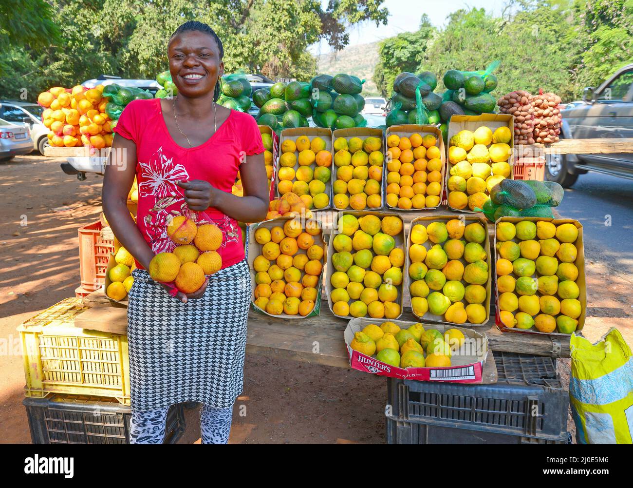 Local woman at fruit stall, Hartbeespoort, North West Province, Republic of South Africa Stock Photo