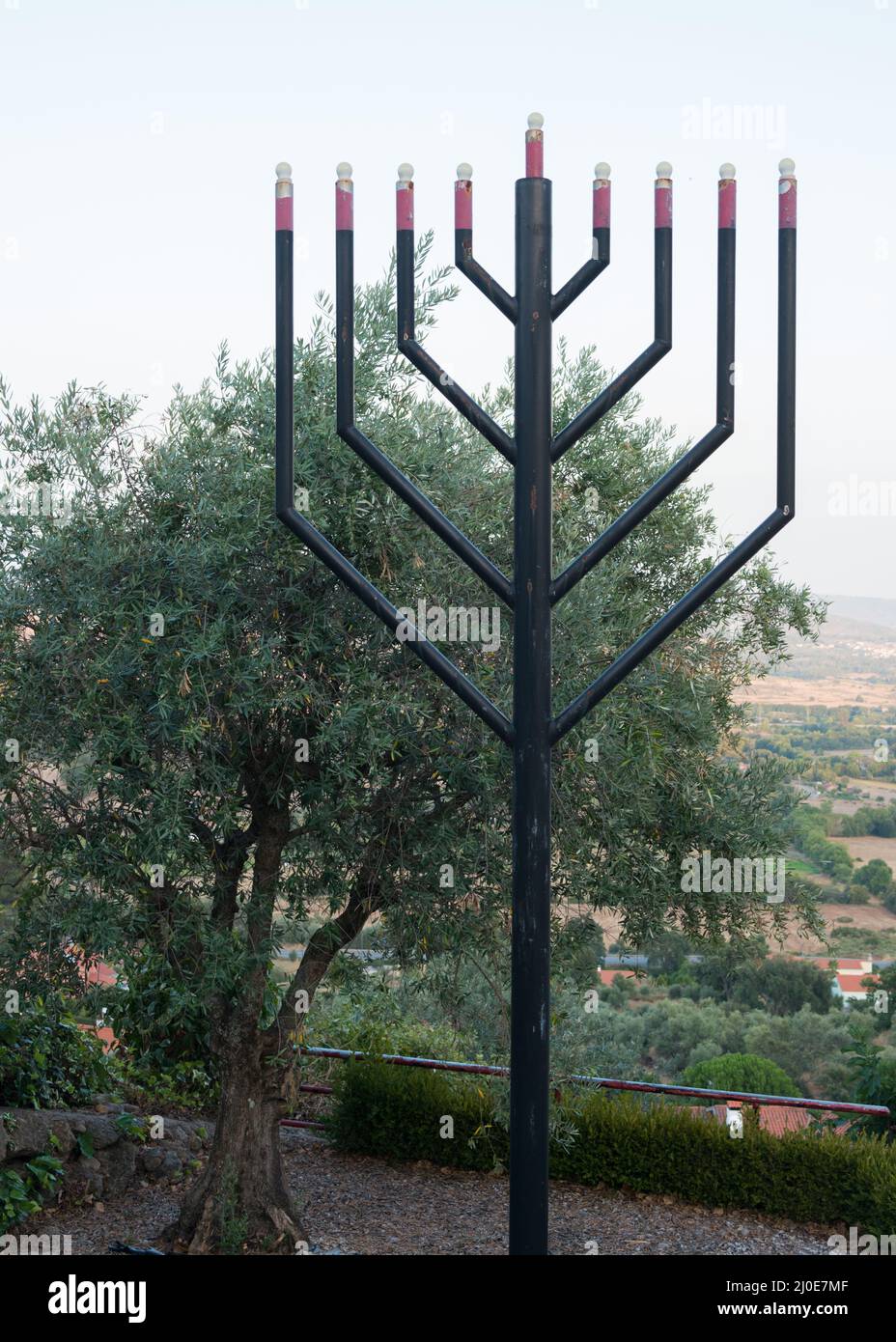 Backyard of Sinagogue of Bet Eliau, in Belmonte, Portugal. Beautiful menarah and ancient olive tree.Europe Stock Photo