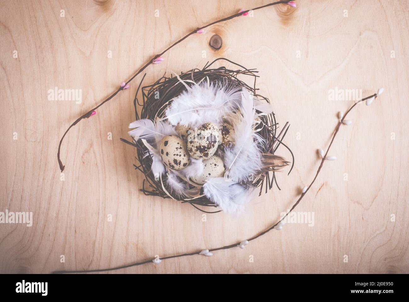 Easter background with eggs and flowers Stock Photo - Alamy