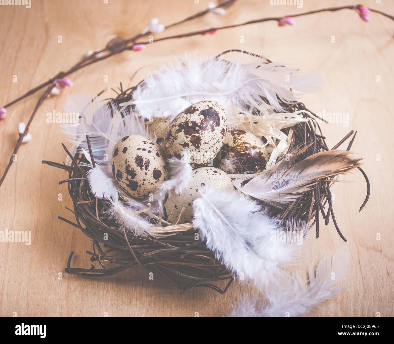 Easter background with eggs and flowers Stock Photo - Alamy