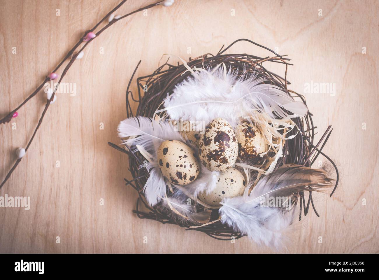 Easter background with eggs and flowers Stock Photo - Alamy