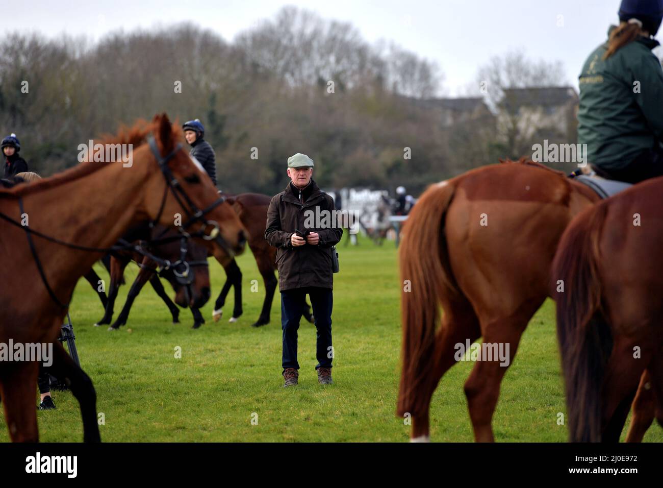 The gallops at Cheltenham Racecourse on the first day of the Cheltenham