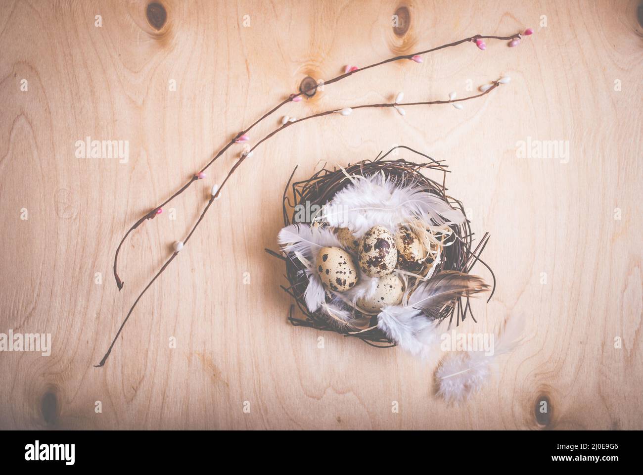 Easter background with eggs and flowers Stock Photo - Alamy