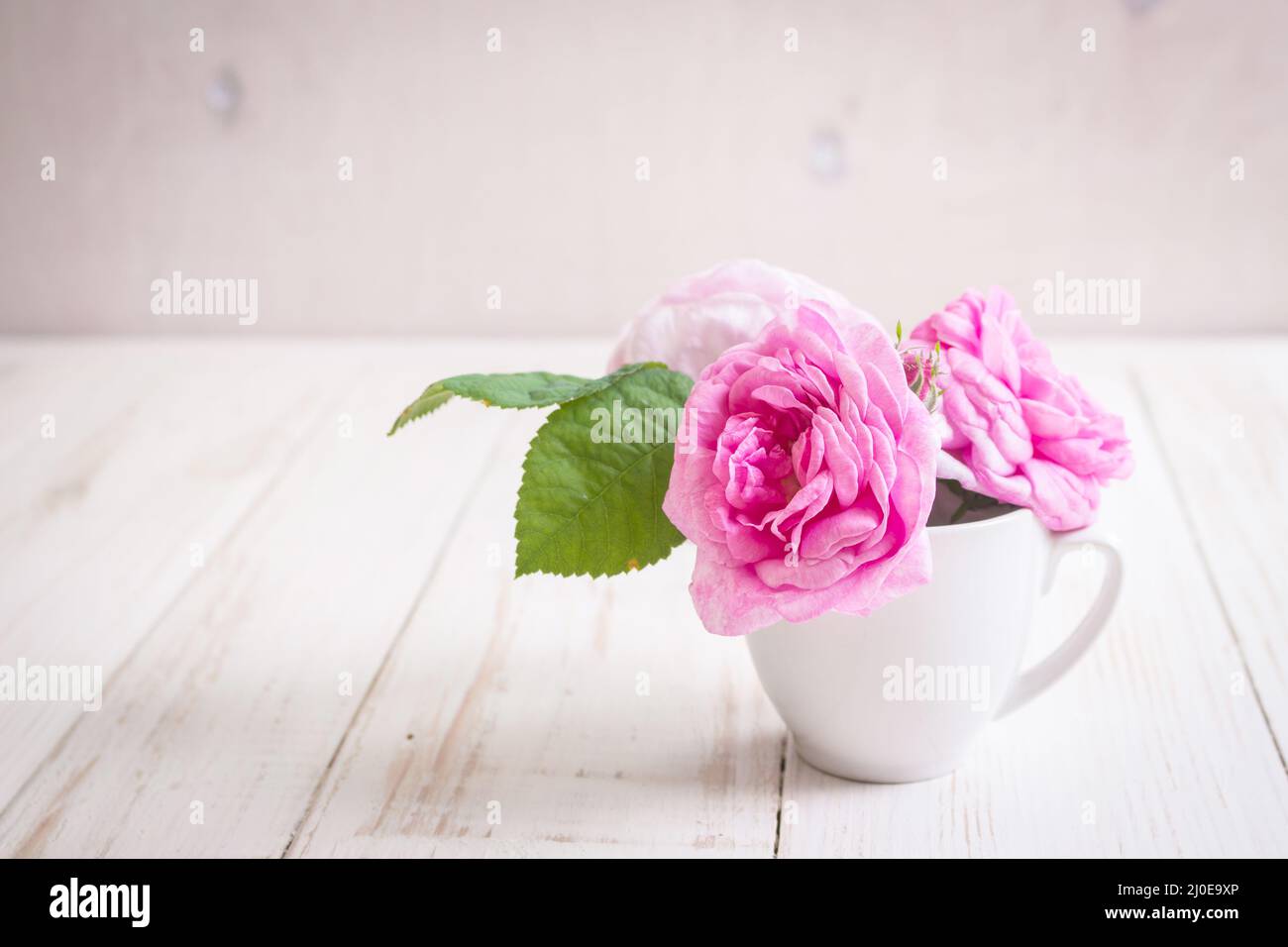 Pink tea roses on a white wooden background Stock Photo - Alamy