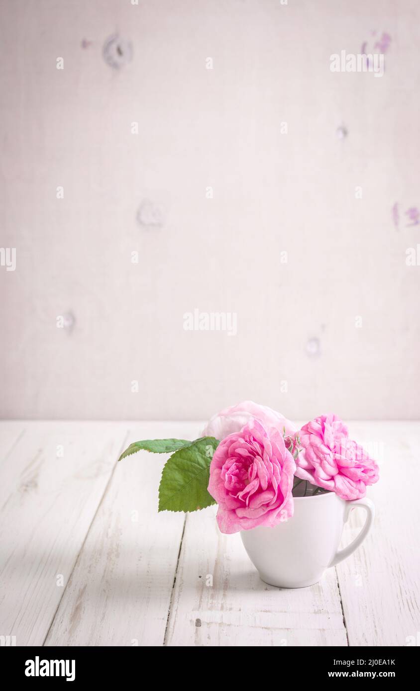 Pink tea roses hi-res stock photography and images - Alamy