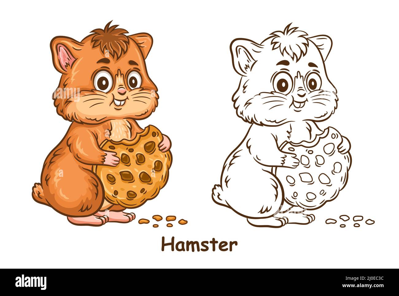 Cute little hamster eat cookie children coloring book page. Funny pet rodent bite sweet biscuit dessert. Animal cartoon character. Kids game. Vector Stock Vector