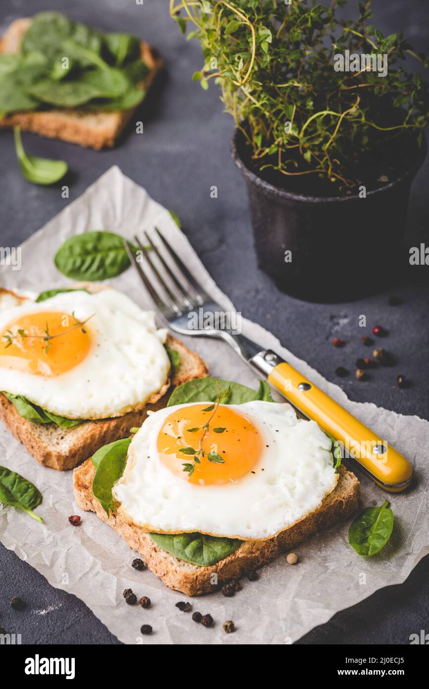 Healthy fried egg sandwich Stock Photo Alamy