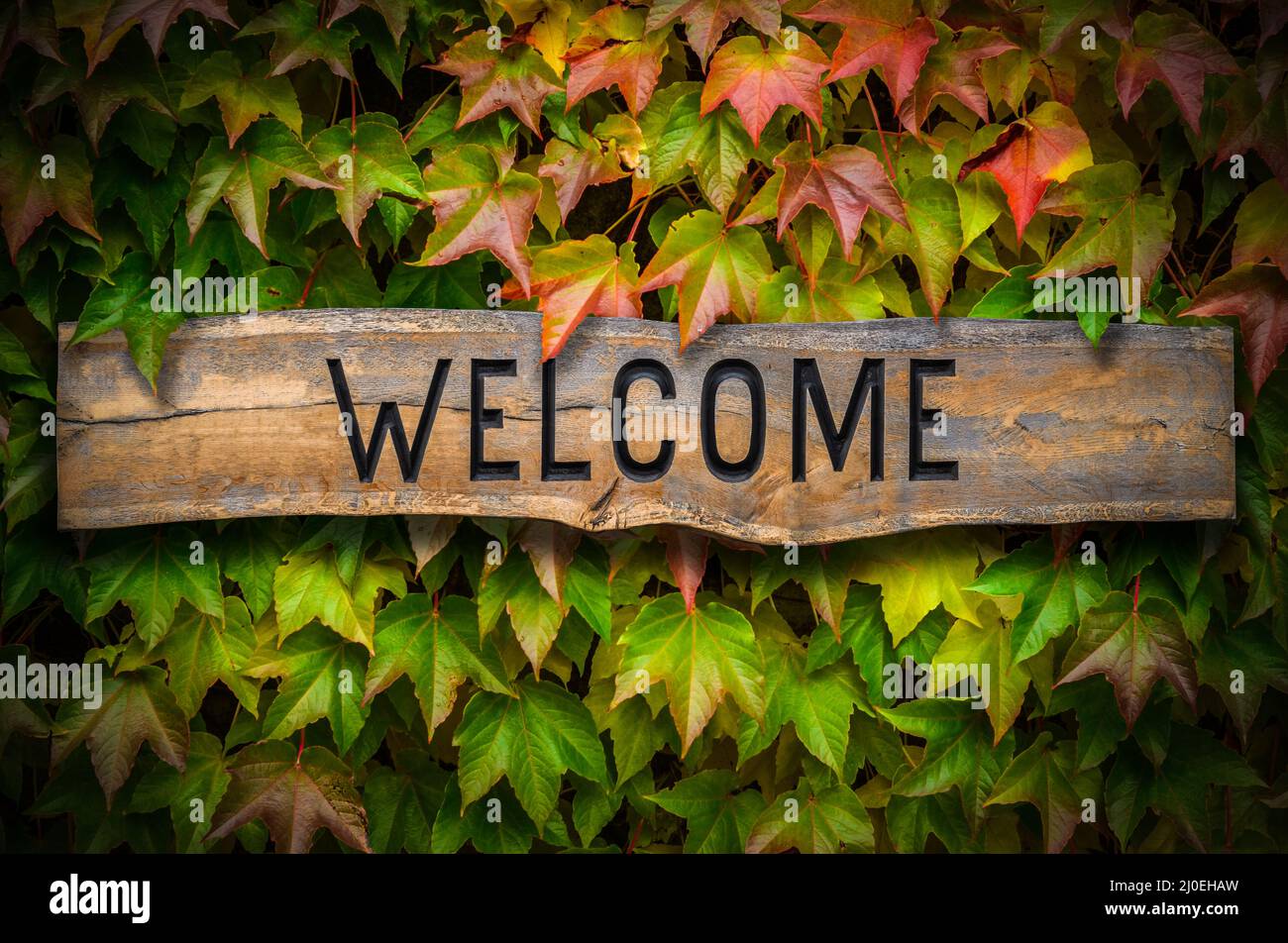 Retro Wooden Welcome Sign Stock Photo