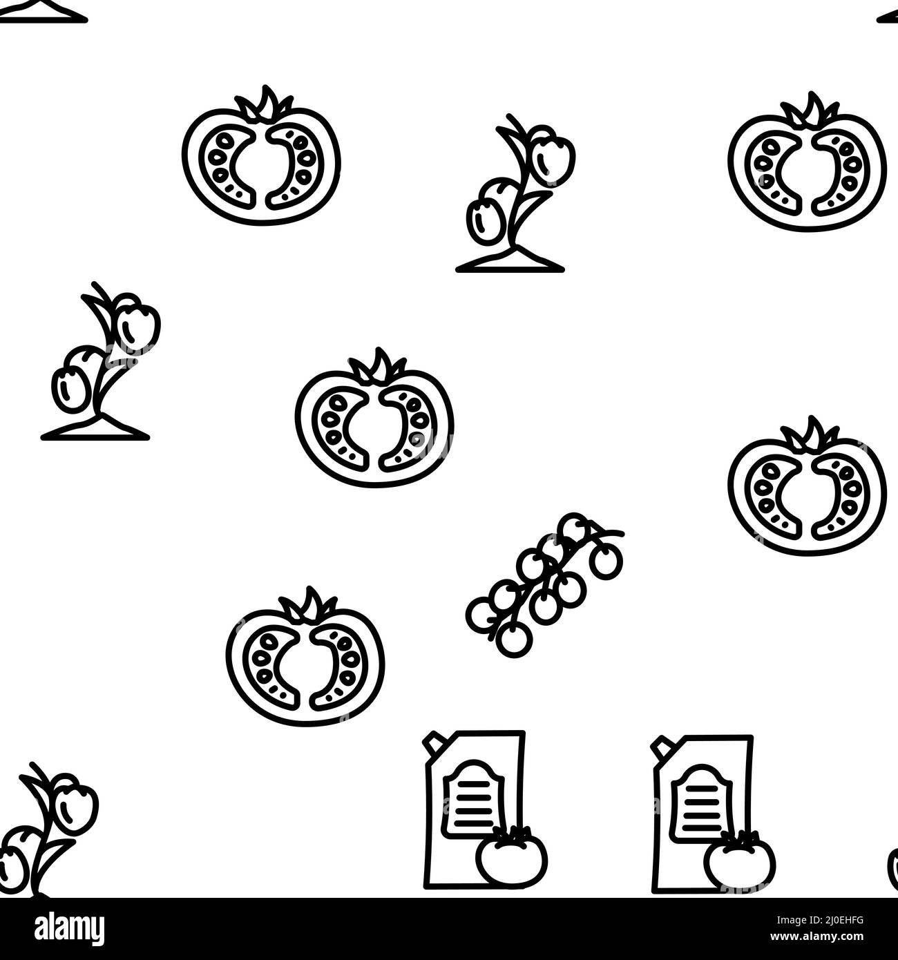 Tomato Natural Bio Ingredient Vector Seamless Pattern Stock Vector ...