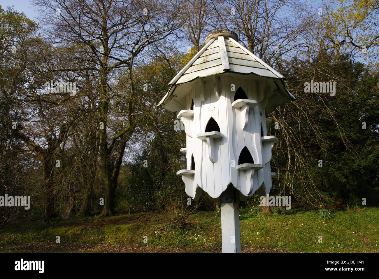 White dovecote birdbox Stock Photo