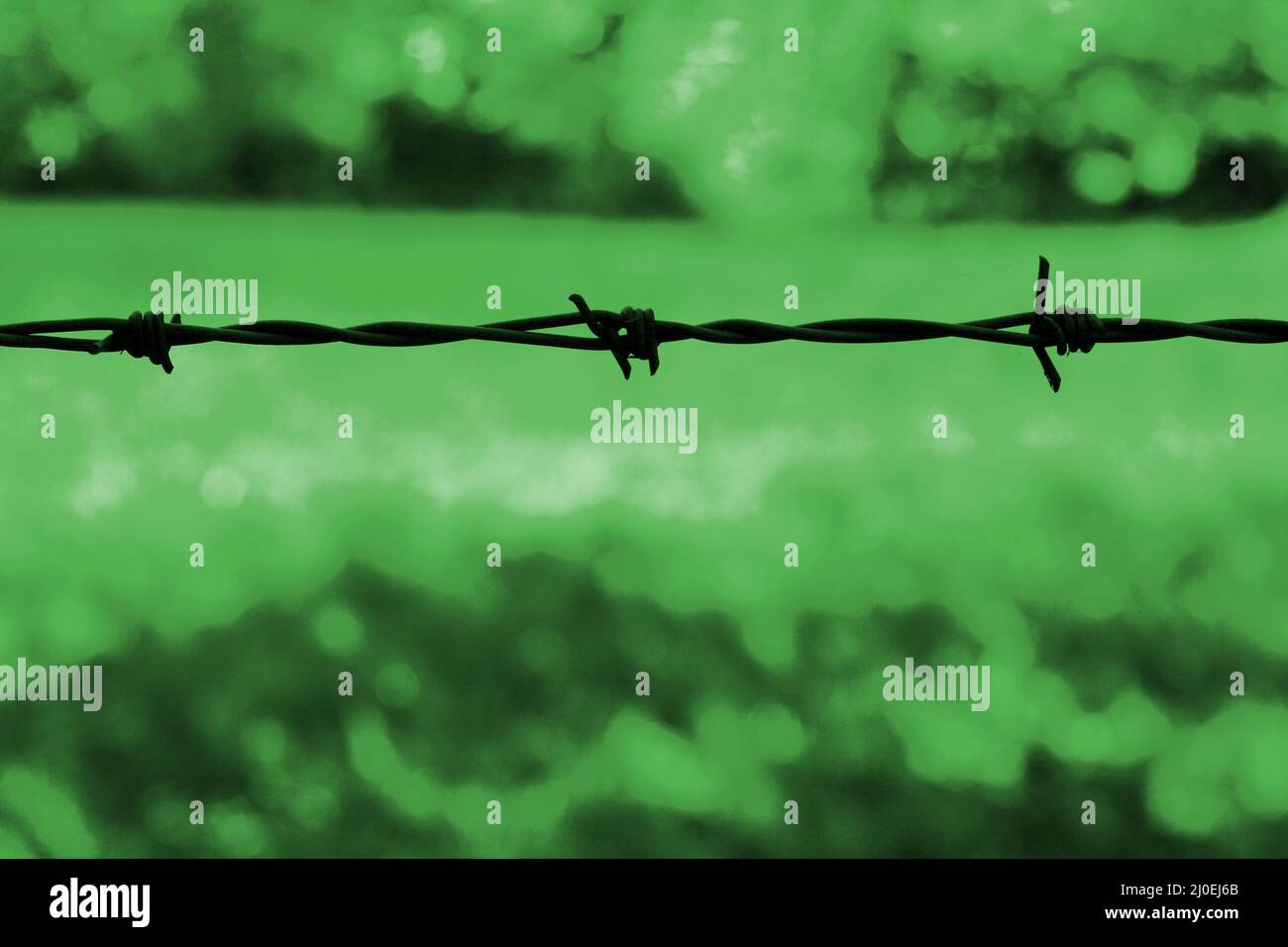 Barbed wire against a green background Stock Photo - Alamy