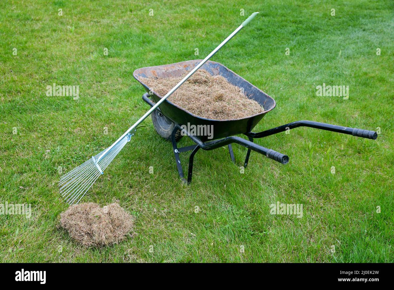 Dead grass hires stock photography and images Alamy