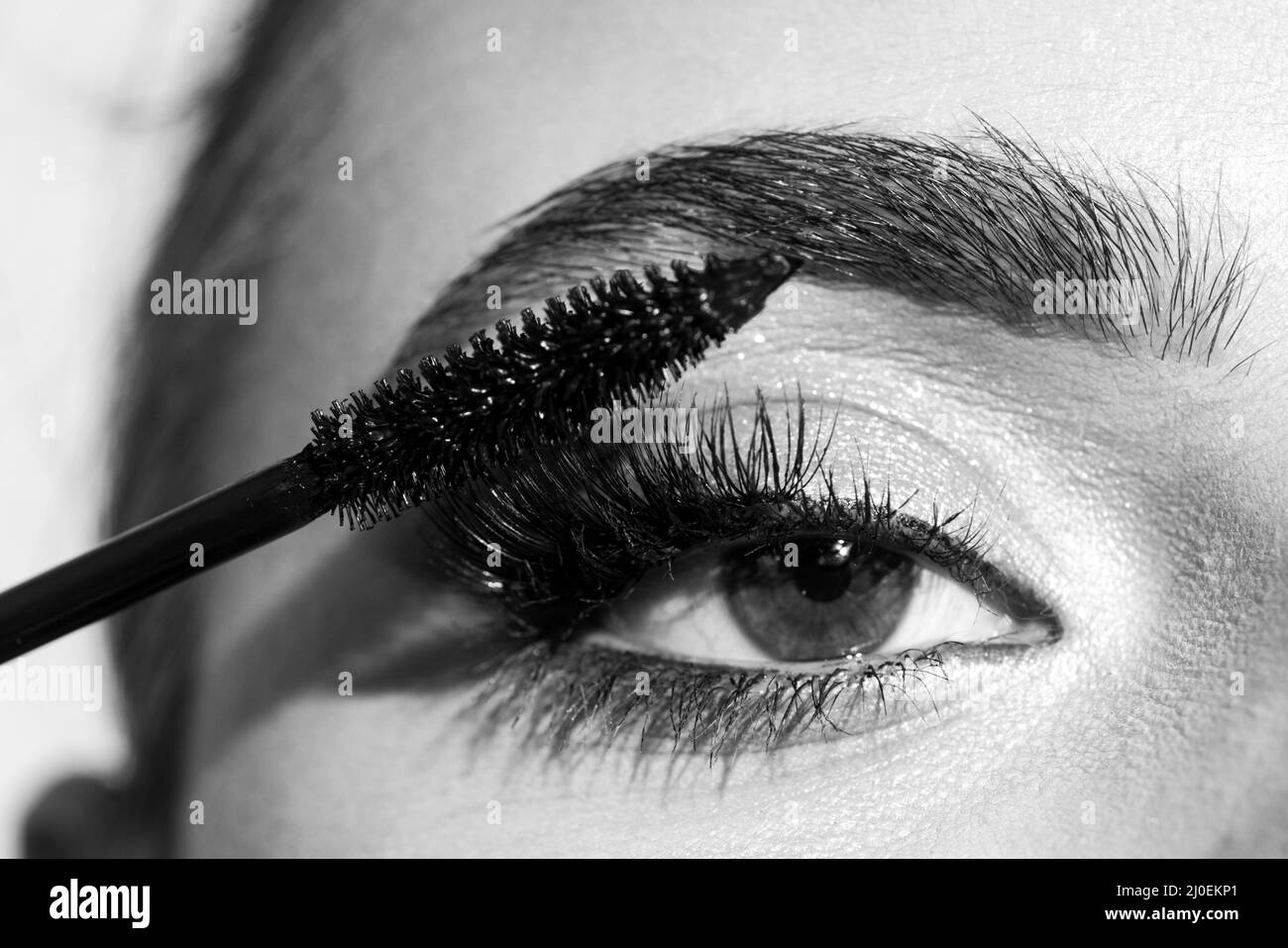 Eyebrow makeup. Macro close up of brows. Woman brushing brows with