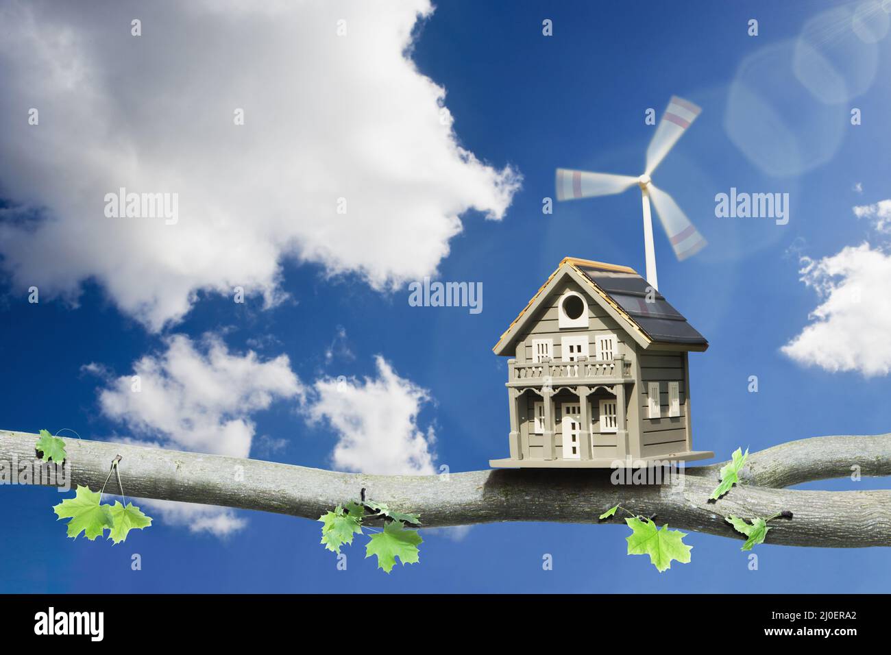 Bird box on a branch powered by a solar panel and wind turbine Stock Photo