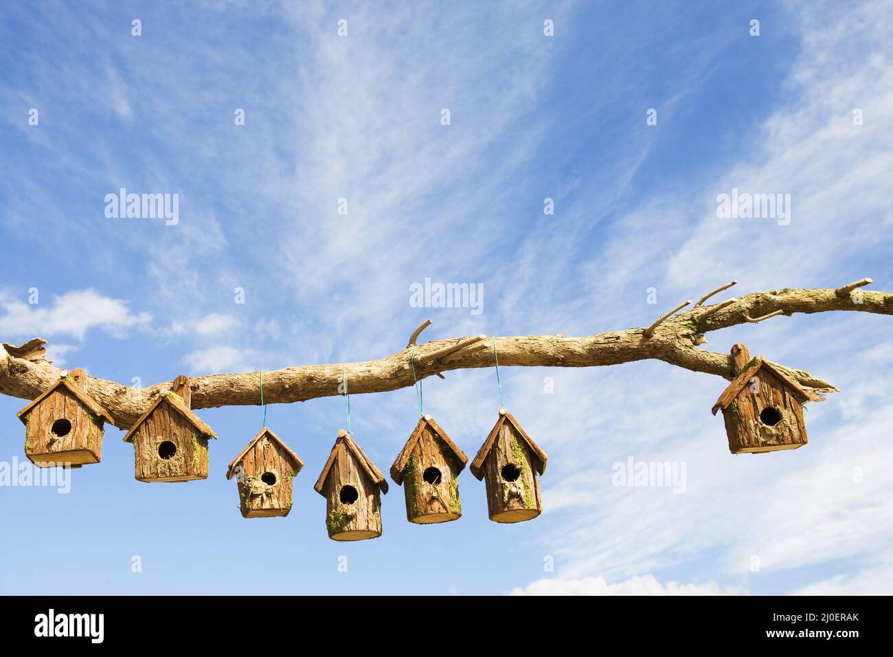 A row of wooden of bird boxes on a branch Stock Photo