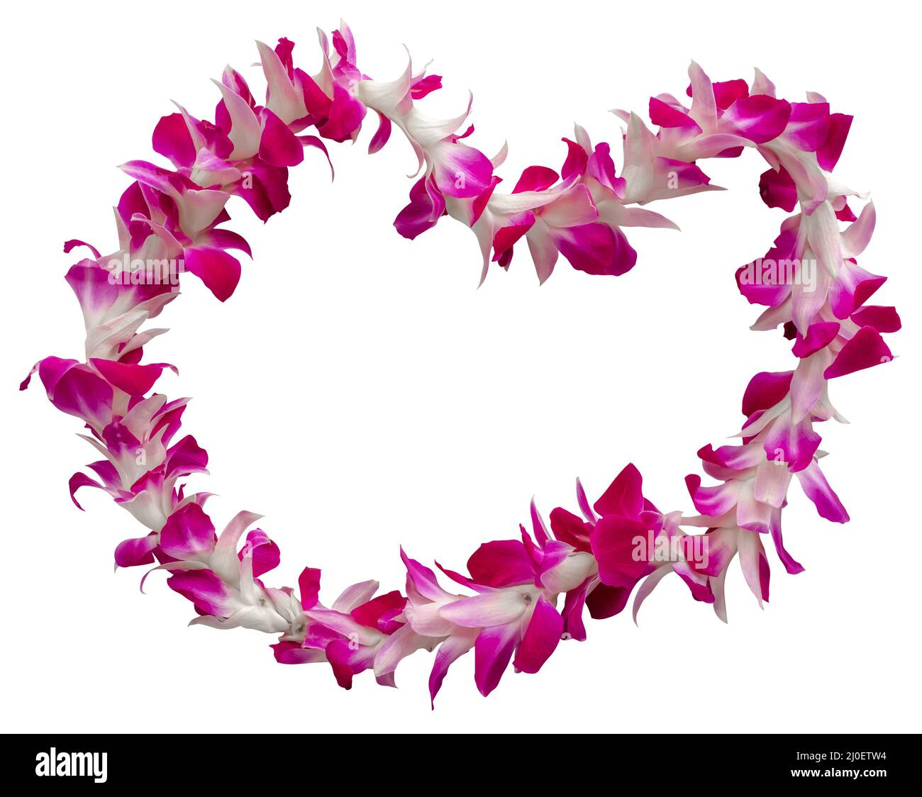 Hawaii Lei On A White Background Stock Photo - Alamy