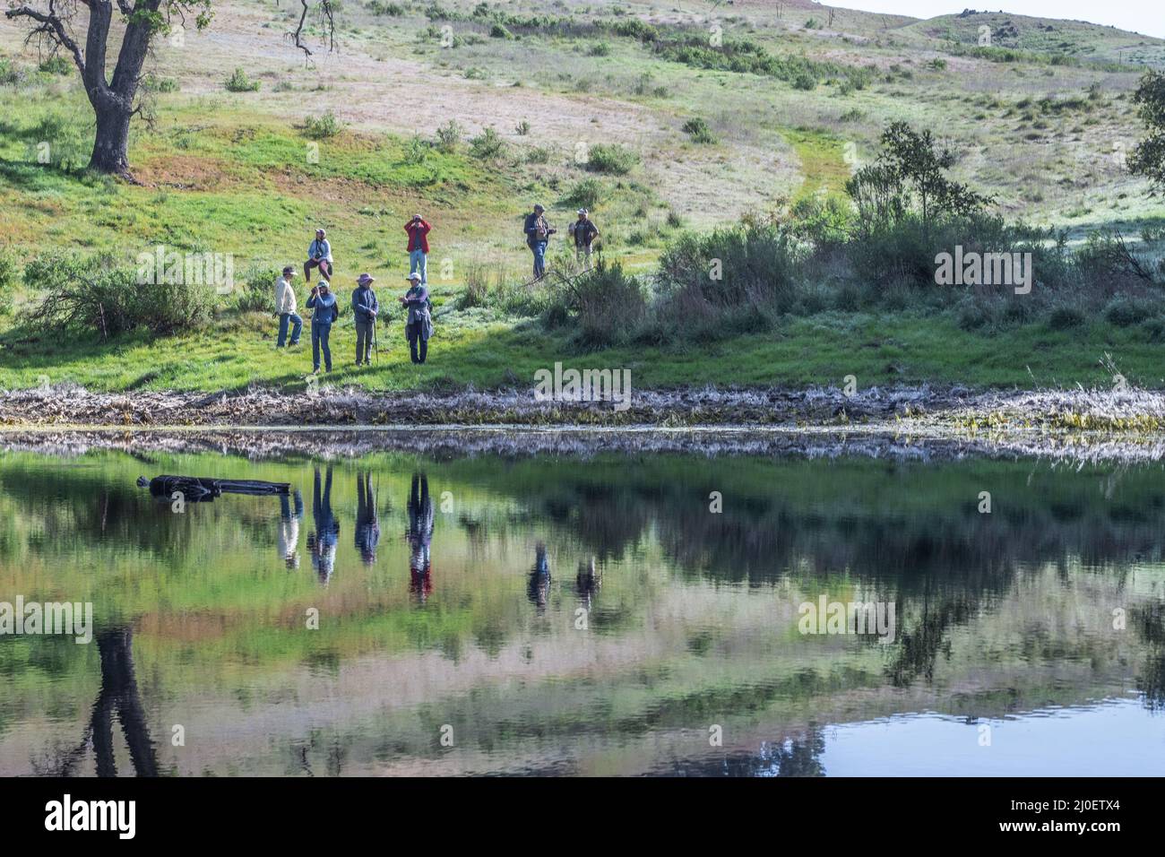 A group of hikers enjoying the outdoors and looking at the pretty reflections in the water in the Northern California countryside. Stock Photo