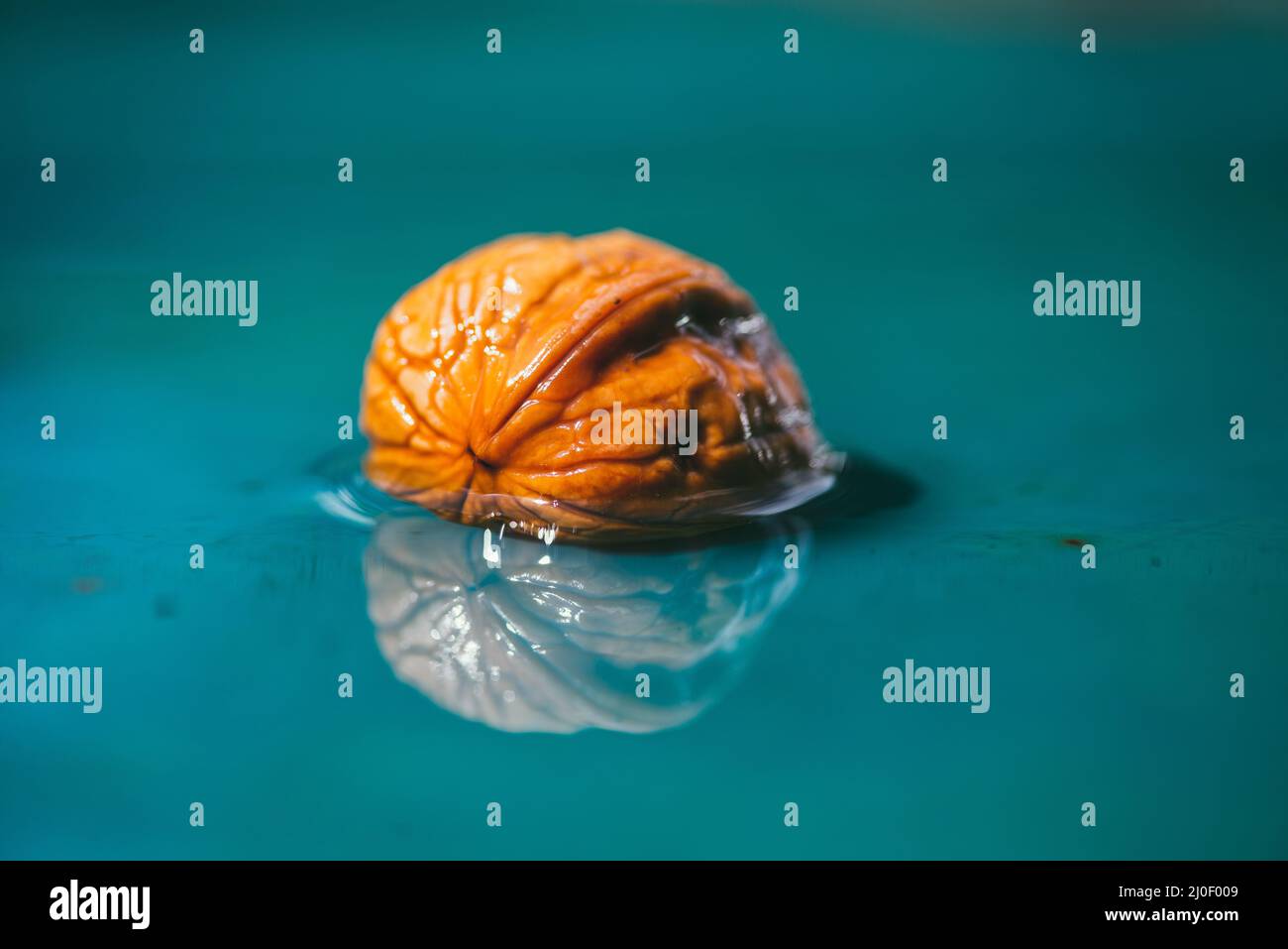 Wet walnuts in the shell lying in the water. Closeup. Selective focus
