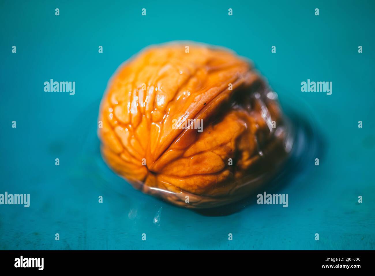 Wet walnuts in the shell lying in the water. Closeup. Selective focus Stock Photo