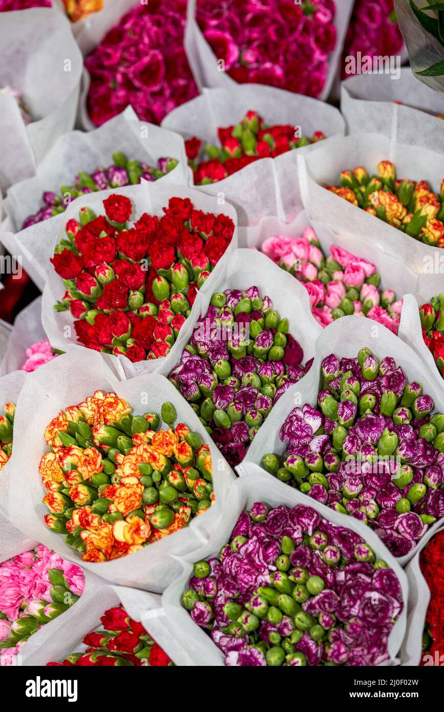 Selling roses and roses of various colors for sale in a flower shop