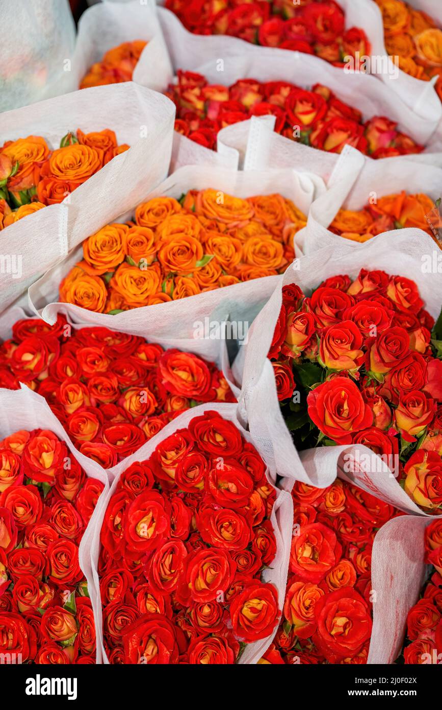 Selling roses and roses of various colors for sale in a flower shop